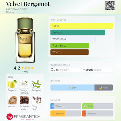 D&G VELVET BERGAMOT EDP 5.0 M